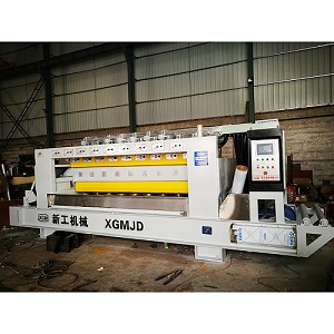 Automatic Litchi-Surface Processing Machine