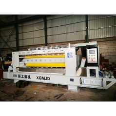 Automatic Litchi-Surface Processing Machine