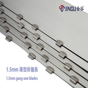 Jingu segments and blades of gang saw