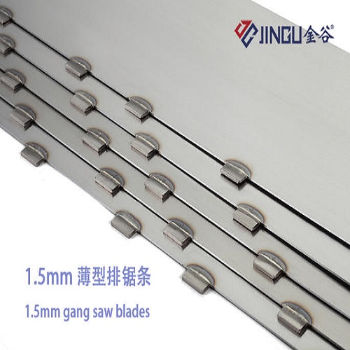 Jingu segments and blades of gang saw