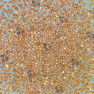 Coated Diamond Powder