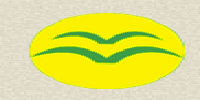 NAN’AN CITY TIP-TOP IMPORT AND EXPORT CO.,LTD.