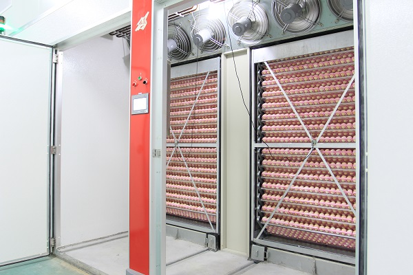 90720 Multi-Stage incubator