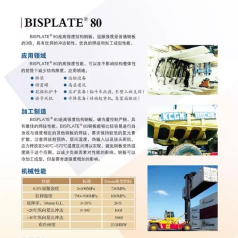 BISPLATE 100