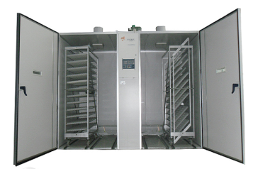 incubator, 19200 eggs