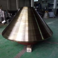 Head