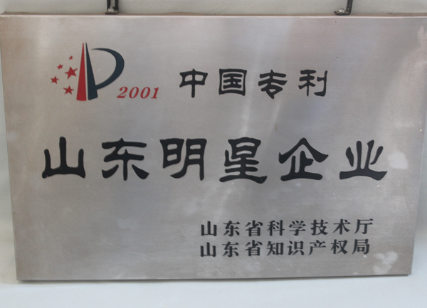 Shandong Star Enterprise