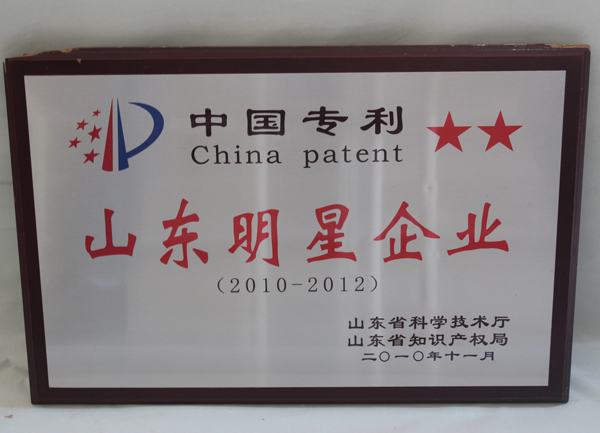 Shandong Star Enterprise YEAR 2010