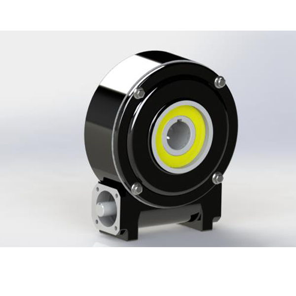 Durst Worm Gear Pump