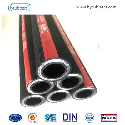DIN EN 856 4SH STANDARD