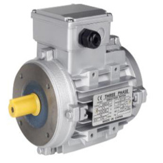 Filter motor