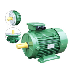 MS series aluminium housing three-phase asynchronous motors
