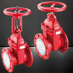 Flange rising stem elastic seated gate valve