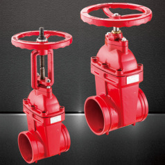 Grooved rising stem elastic seated gate valve
