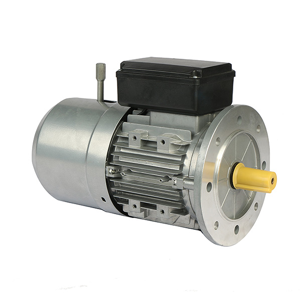 MOTOR 1