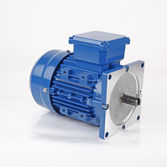 HS Special motor for stone machinery