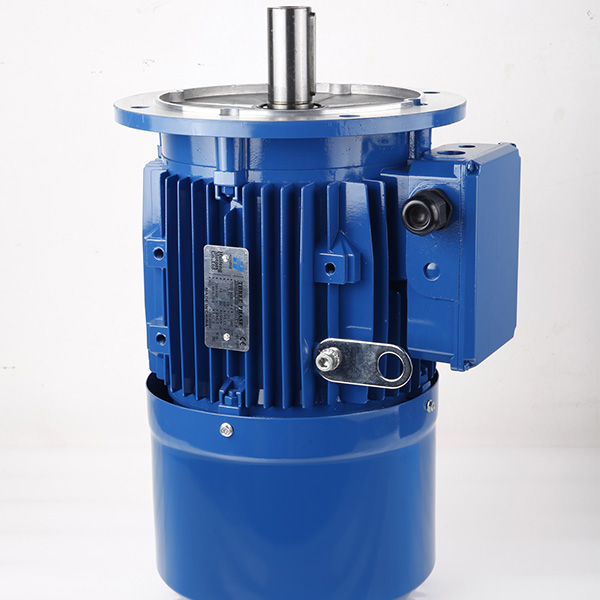 MSB Special motor for stone machinery