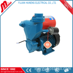 Self-Priming Peripheral Pump