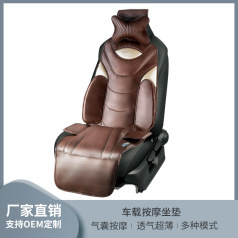 Car Massage Mat
