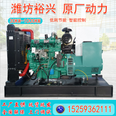 Cummins quiet diesel generator set 30KW-1000KW brushless