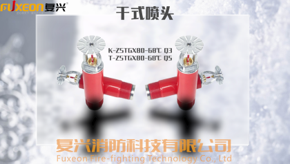 洒水喷头（干式）